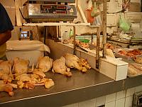 IMGP1676.JPG