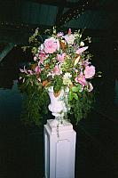 lea869_00005.jpg