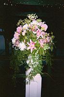 lea869_00006.jpg