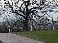 P1010004