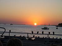 IMGP0545.JPG