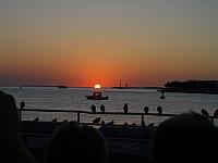 IMGP0548.JPG