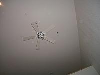 Throw the lime at the ceiling fan and watch it bounce about.
