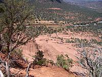 IMGP0725.jpg