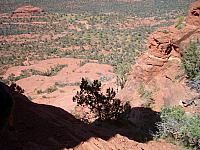 IMGP0728.jpg